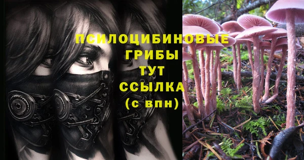 гашик Елабуга