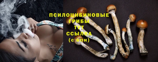 герыч Елизово