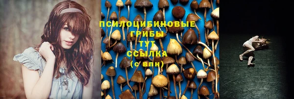 гашик Елабуга