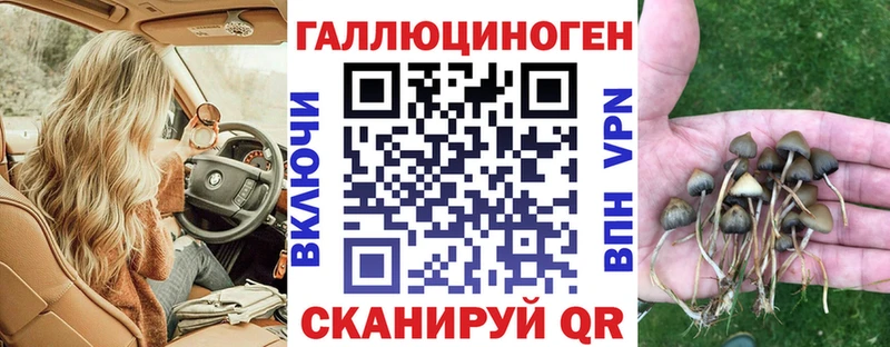 Псилоцибиновые грибы мухоморы  Купить  Болотное 