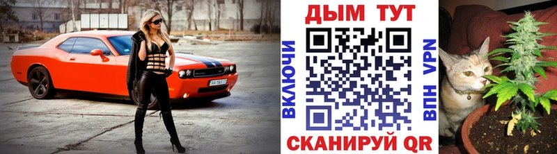 Купить где  Болотное  Бошки Шишки Amnesia 